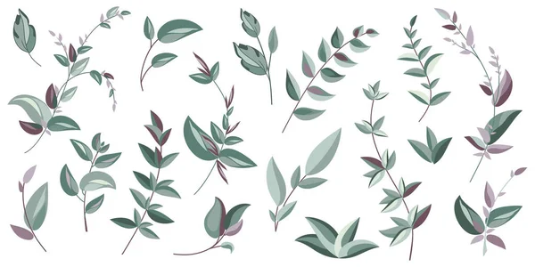 Decorative Branches Leaves Design Elements Decoration Vector Illustration — Stock Vector