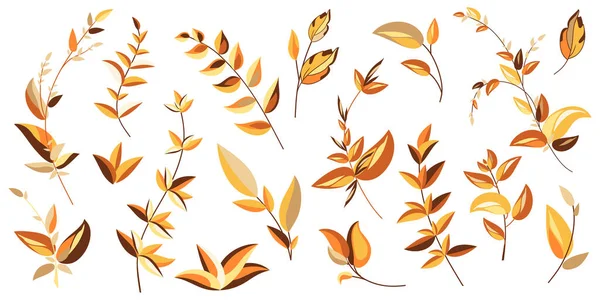 Set Aus Dekorativen Gelben Zweigen Und Blättern Kollektion Herbstlicher Designelemente — Stockvektor