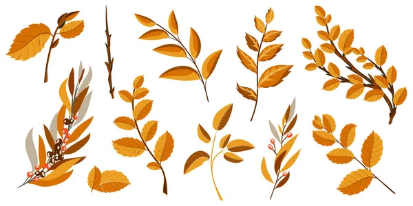 Декоративные Осенние Ветви Листья Природный Оранжевый Дизайн Элементов Украшения Векторная — стоковый вектор