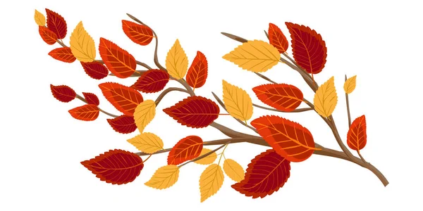 Decorative Branch Bright Autumn Leaves Tree Branch Orange Red Yellow — Stock Vector