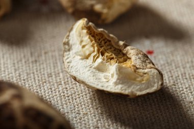 Bir yığın dağınık mantar