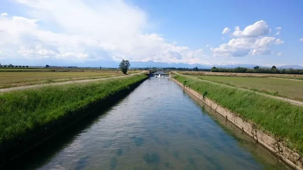 Wiosna Ticino Park Lombardii Włochy Zdjęcie Stockowe