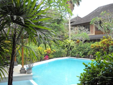 Tatil havuzu, tropik bahçe. Ubud, Bali, Endonezya 20 Eylül 2012