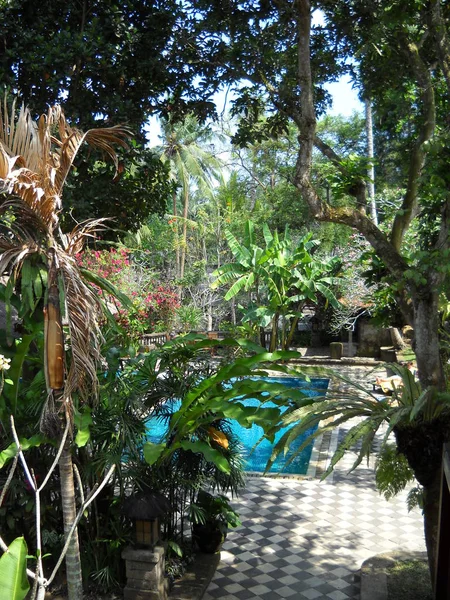 Piscina Resort Jardim Tropical Ubud Bali Indonésia Setembro 2012 — Fotografia de Stock