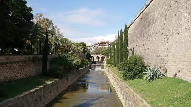 Riera River Palma City Palma Mallorca Spanien — Stockvideo