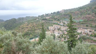 Yaklaşık 700 sakinleri ile Dei, Mayorka 'nın en küçük kasabalarından sadece biri değil, aynı zamanda çok güzel biri. Birçok ünlü sanatçılar, yazarlar ve aktörler ev satın aldı.