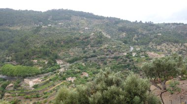 Yaklaşık 700 sakinleri ile Dei, Mayorka 'nın en küçük kasabalarından sadece biri değil, aynı zamanda çok güzel biri. Birçok ünlü sanatçılar, yazarlar ve aktörler ev satın aldı.