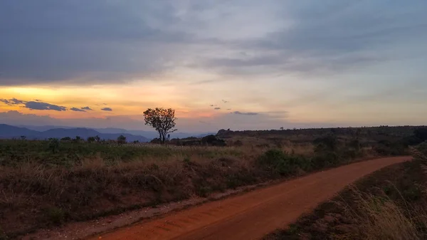 Gün batımında Malawi 'de bir milli parkta bir yol