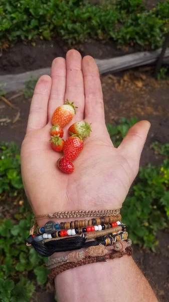 Bilezikleri olan taze çilek.