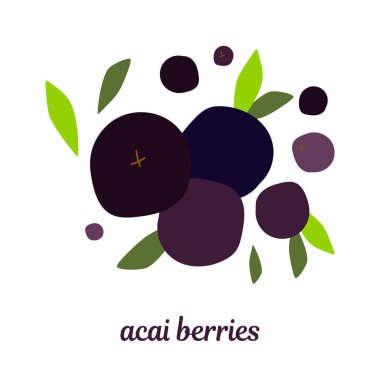 Acai üzümü ve yapraklı bir resim. ambalaj için modern soyut tasarım, giysiler için baskı, kumaş