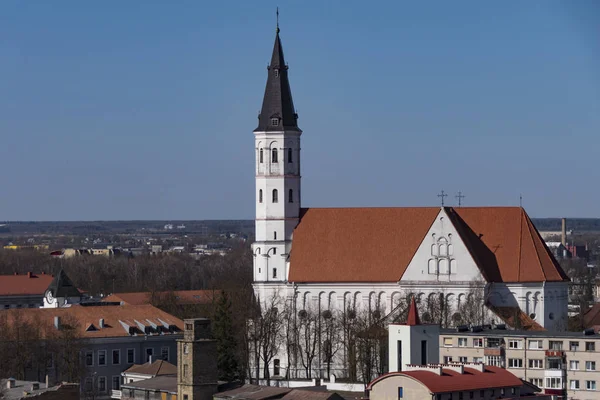 Siauliai Litvanya Aziz Peter Paul Katedrali Ufuk Çizgisi — Stok fotoğraf