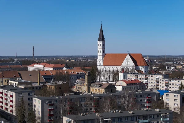 Siauliai Litauen Cathedral Saints Peter Och Paul Och Skyline — Stockfoto