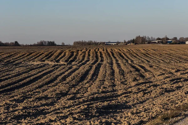 Siauliai Litouwen Akkerbouw Geploegd Landbouwgrond — Stockfoto