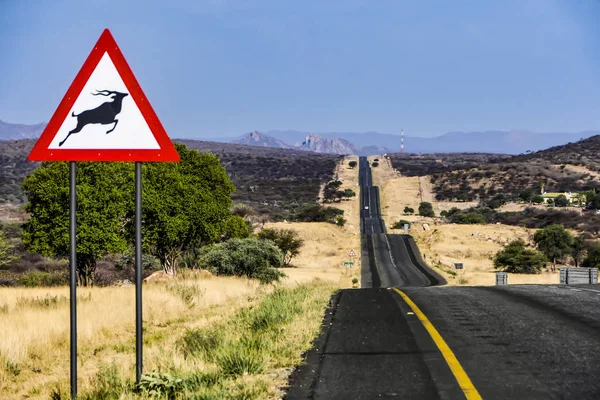 Kalahari Sivatag Namíbia Autópálya Sivatagban Egy Ibix Figyelmeztető Jel — Stock Fotó
