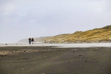 Hirtshalls, Danimarka bir kış gününde rüzgarlı bir plaj.