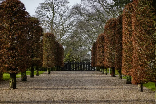 Hjorring Danimarca Vicolo Nel Cimitero Locale — Foto Stock