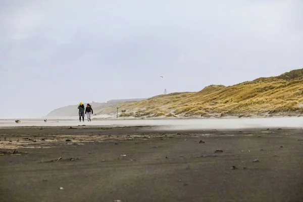 ヒルツシャルズ デンマーク 冬の日に風の強いビーチ — ストック写真