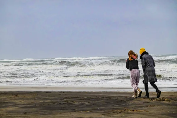 Hirtshalls Dinamarca Una Playa Ventosa Día Invierno — Foto de Stock