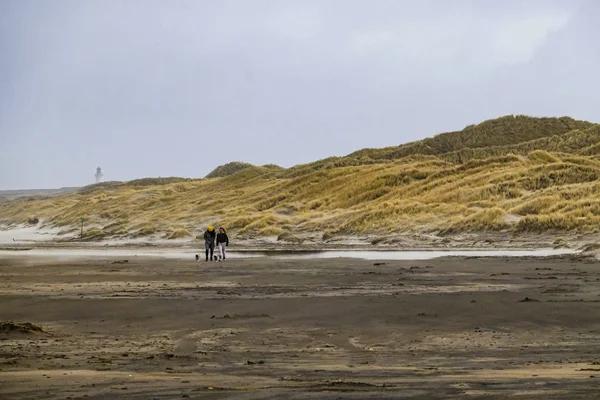 Hirtshalls Dinamarca Una Playa Ventosa Día Invierno —  Fotos de Stock