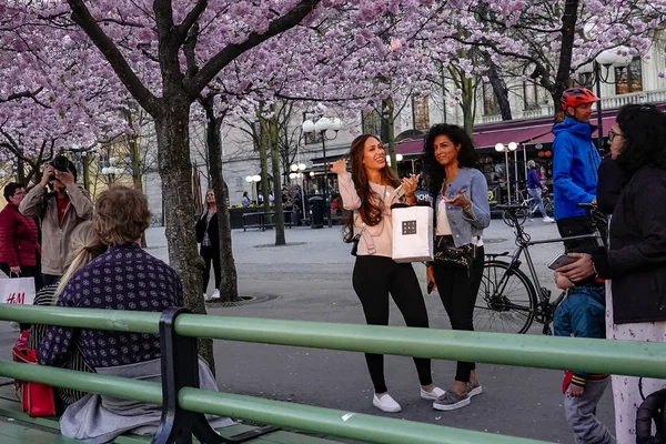 Stockholm Suède Les Gens Admirent Les Fleurs Cerisier Dans Parc — Photo