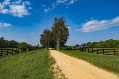 Sotterley, Maryland, Abd Bir çiftlik evinde ağaçların uzun bir sokak.