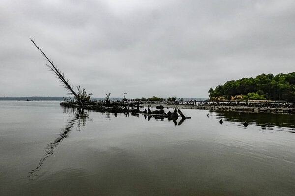 Mallows Bay, Maryland USA  The ghost fleet of Mallows Bay, a collection of historic shipwrecks on the Potomac River.