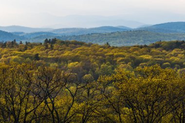 Cornwall, Connecticut, Abd Mohawk Dağı'ndan Berkshire Tepeleri manzarası.