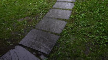 Bir patikada yağmur