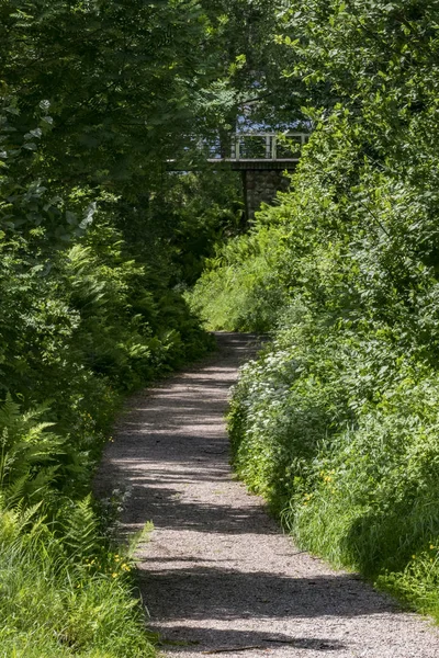 Leksand Sweden Country Path Leading Lake Siljan Dalarna — Stock fotografie