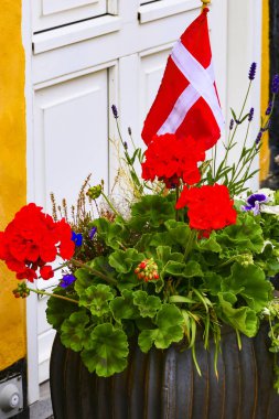 Saeby, Sevimli evler ve saksı bitkileri ile köyün Danimarka Side sokakları.