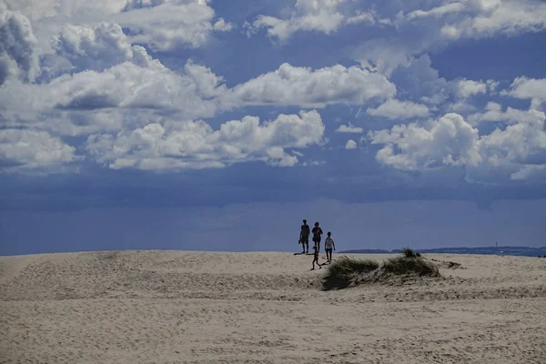 スカーゲン デンマーク ラブジェルグ マイル スカーゲン郊外の砂丘をさまよう — ストック写真