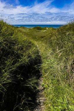Hirtshals, Danimarka kumulları ve Kuzey Denizi manzaralı bir yol.