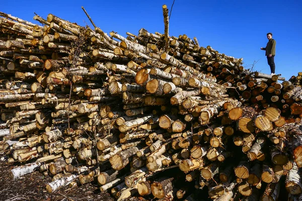 Harnosand Sweden Stock Yard Swedish Timber — Stock Photo, Image