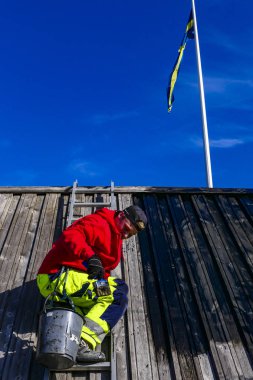 Burgsvik, Gotland, İsveç Bir adam bir ahır çatı katran boya uygular.