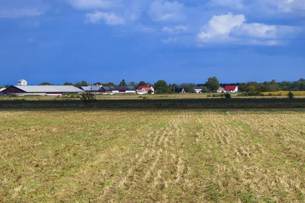 Storsudret Gotland Szwecja Rolnictwo Teren — Zdjęcie stockowe