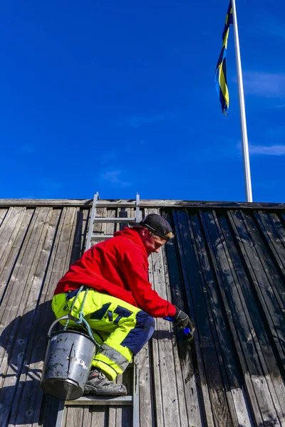 Burgsvik Gotland Sveç Bir Adam Bir Ahır Çatı Katran Boya — Stok fotoğraf