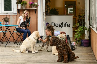Stockholm, Sweden A daycare center for dogs and their trainers or keepers, clipart