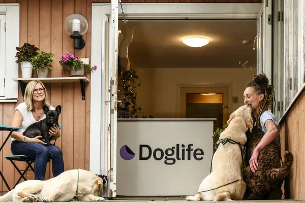 Estocolmo Suecia Una Guardería Para Perros Sus Entrenadores Cuidadores — Foto de Stock