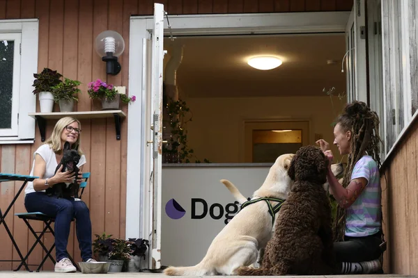 Estocolmo Suecia Una Guardería Para Perros Sus Entrenadores Cuidadores — Foto de Stock