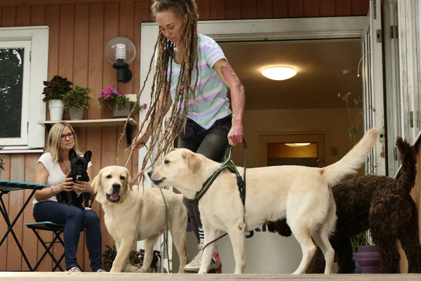 Stockholm, İsveç Köpekler ve eğitmenleri için bir kreş,