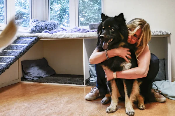 Estocolmo Suecia Una Guardería Para Perros Sus Entrenadores Cuidadores — Foto de Stock