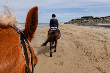 Hirtshals, Danimarka Orta yaşlı bir kadın kumsalda ata biner.