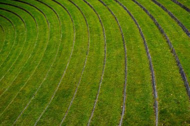 Aarhus, Danimarka Aarhus Üniversitesi 'nin yeşil çimenli toprakları.