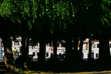 Stockholm, İsveç Sabahın erken saatlerinde Strandvagen 'daki ağaçların arasından bir bisikletçi görüldü.