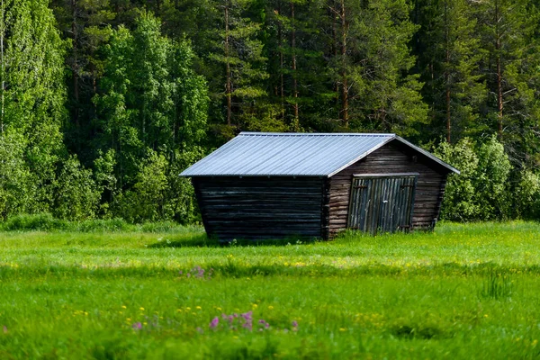 Kalix Svédország Egy Tipikus Pajta Norrbotten Régióban Svédország — Stock Fotó