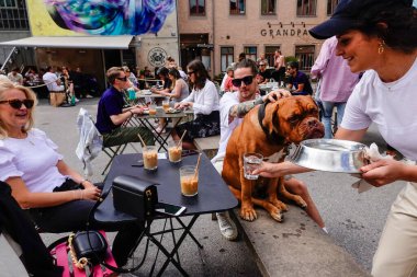 Göteborg, İsveç İnsanlar köpekleriyle birlikte şehir merkezindeki Artilleriet Kafe 'de oturuyorlar..