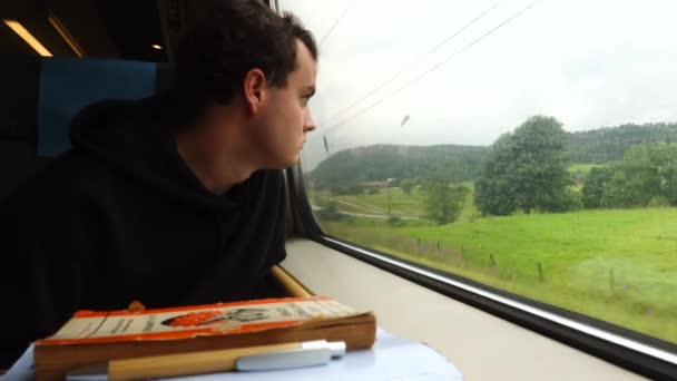 Gothenburg Swedia Seorang Pemuda Naik Kereta Melalui Lanskap Swedia — Stok Video