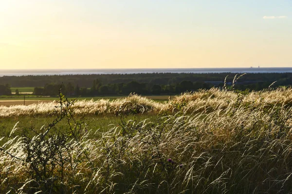 Resmo Oland Švédsko Krajina Zemědělské Pole Nad Baltským Mořem — Stock fotografie