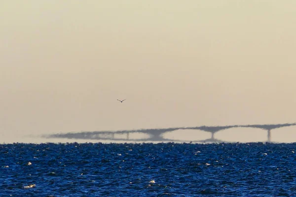 Morby Langa Oland Suecia Puente Oland Sobre Brillante Mar Báltico — Foto de Stock