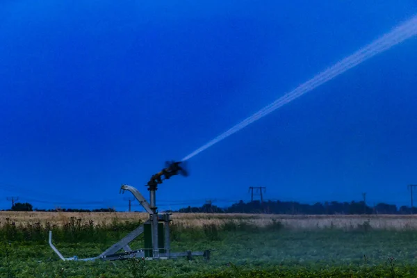 Oland Suecia Campo Fresas Riega Con Aspersor Amanecer —  Fotos de Stock